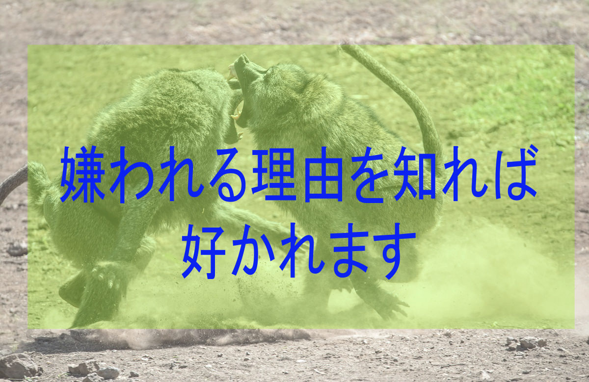 友達がいないのは 嫌われているからです 早く治しましょう きんぐさんの旅